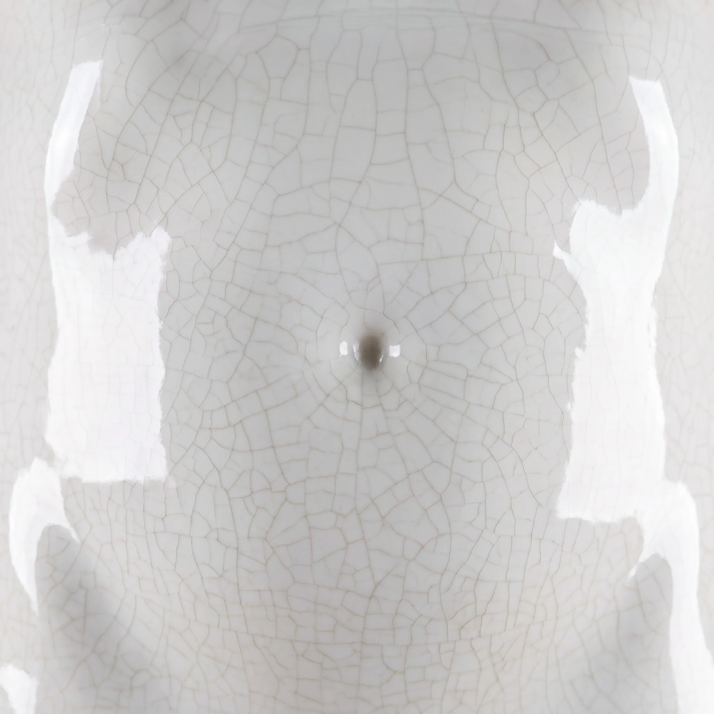 Picture from the series: Porcelain Body by Jakob Maria Wagner.
