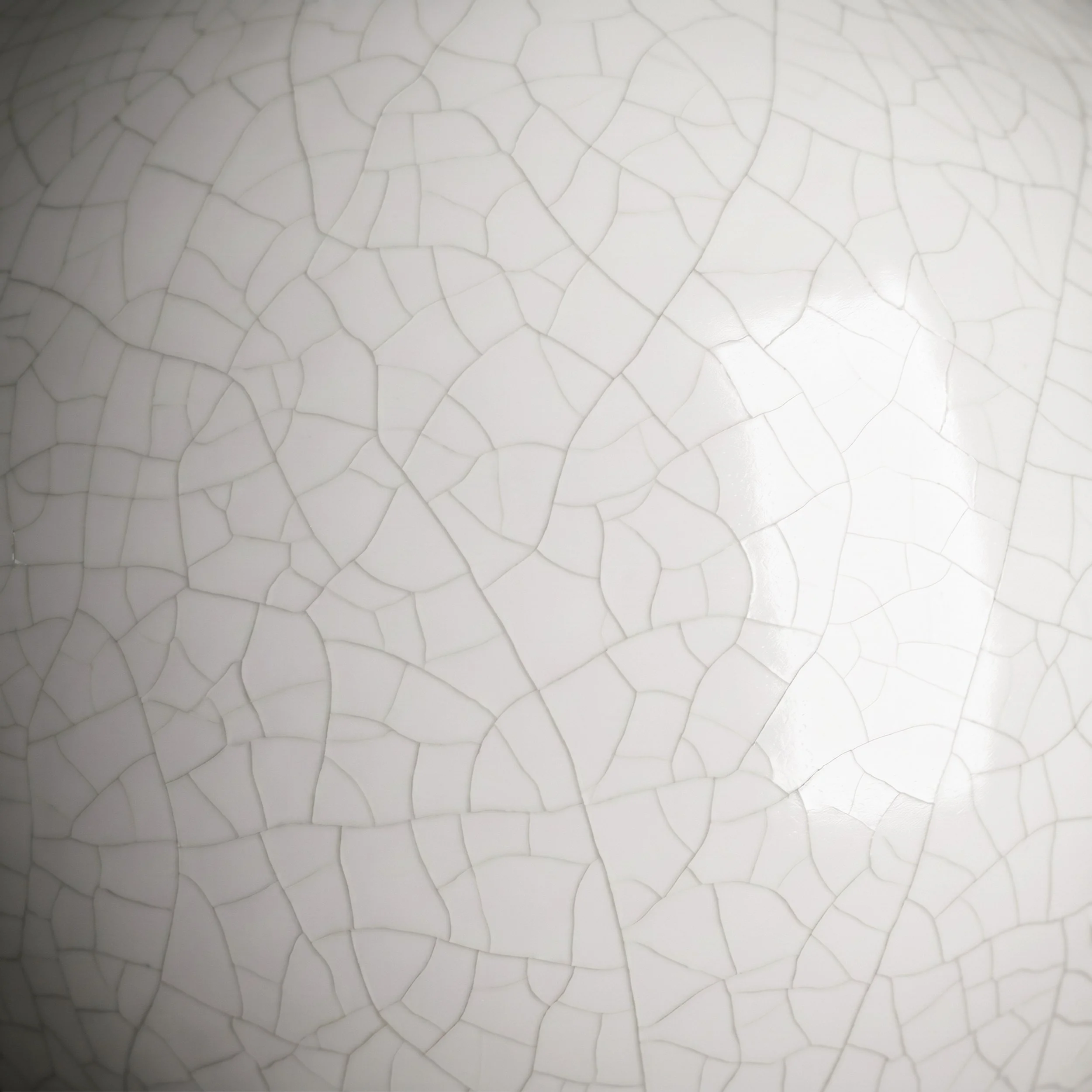 Picture from the series: Porcelain Body by Jakob Maria Wagner.