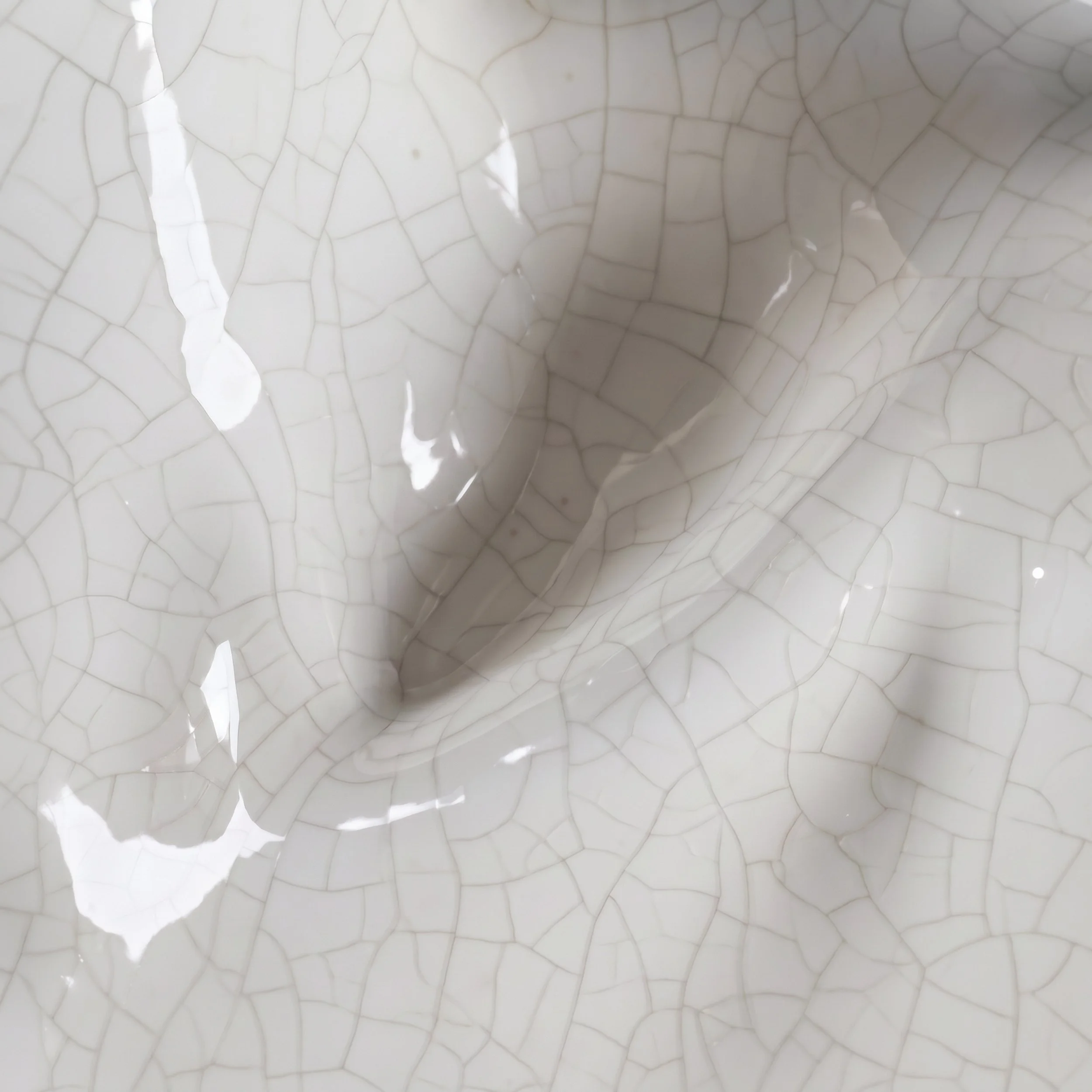 Picture from the series: Porcelain Body by Jakob Maria Wagner.