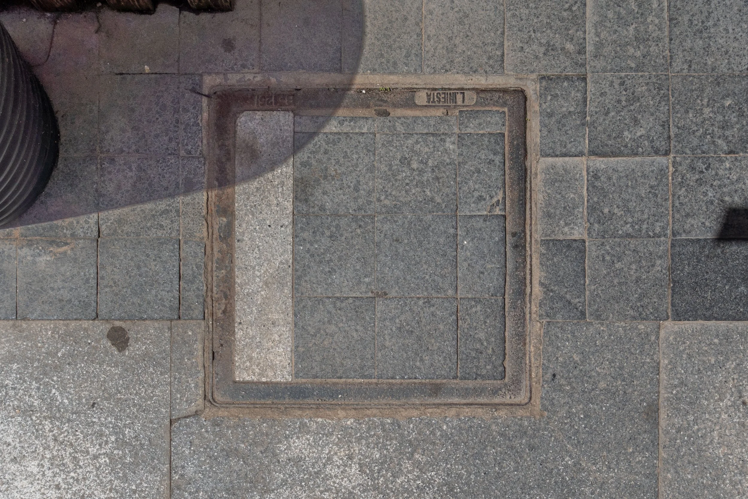 _DSC9666.jpg