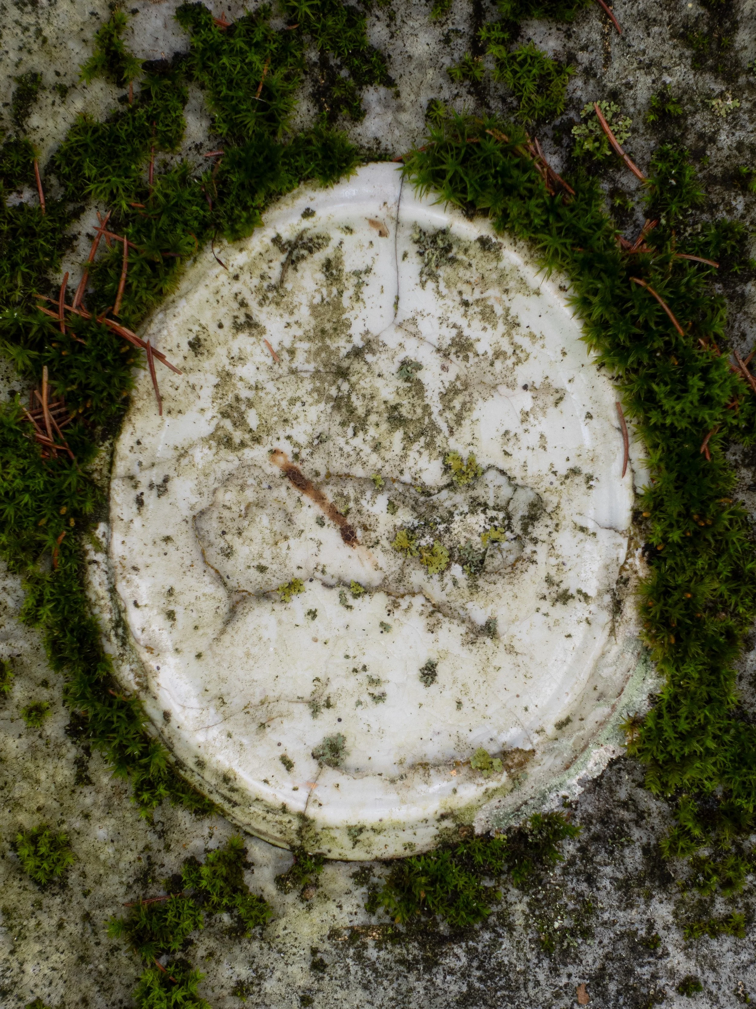 Photo from the collection: Fading Memorial Portraits by Jakob Maria Wagner.