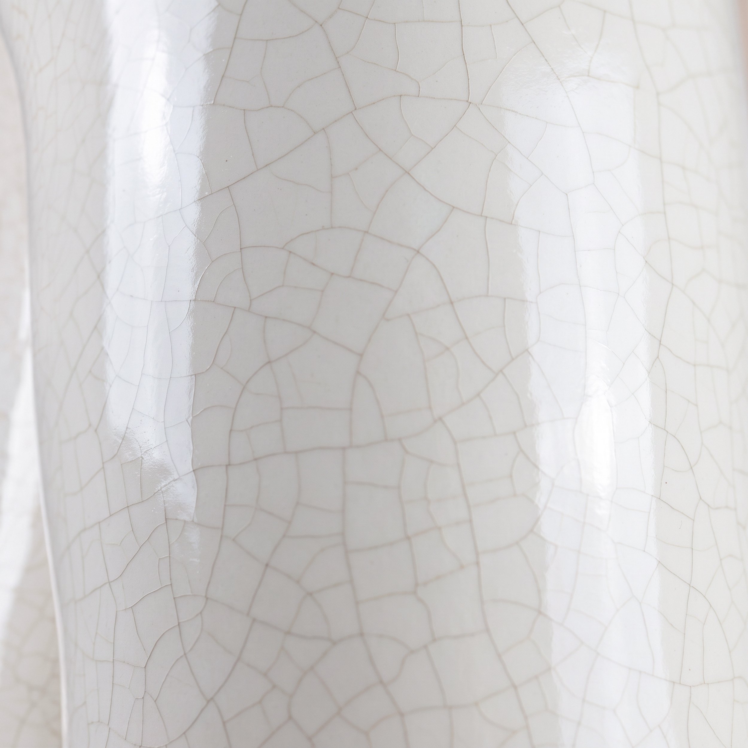 Picture from the series: Porcelain Body by Jakob Maria Wagner.