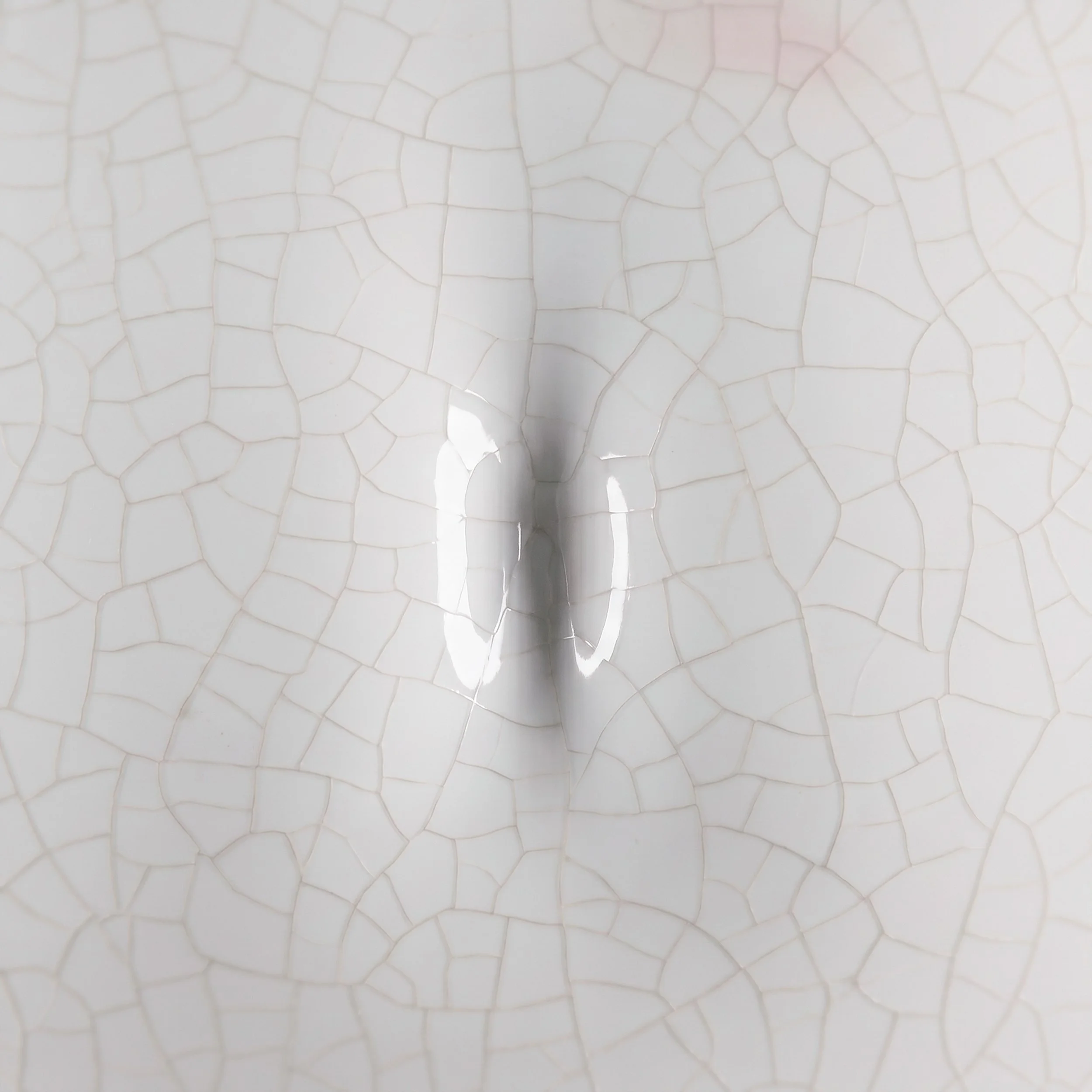 Picture from the series: Porcelain Body by Jakob Maria Wagner.