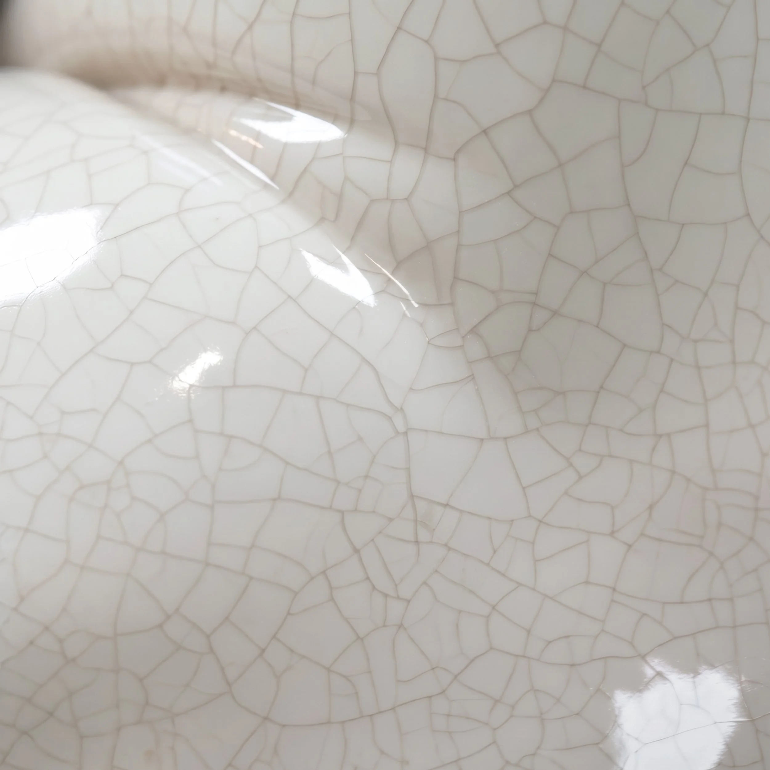 Picture from the series: Porcelain Body by Jakob Maria Wagner.