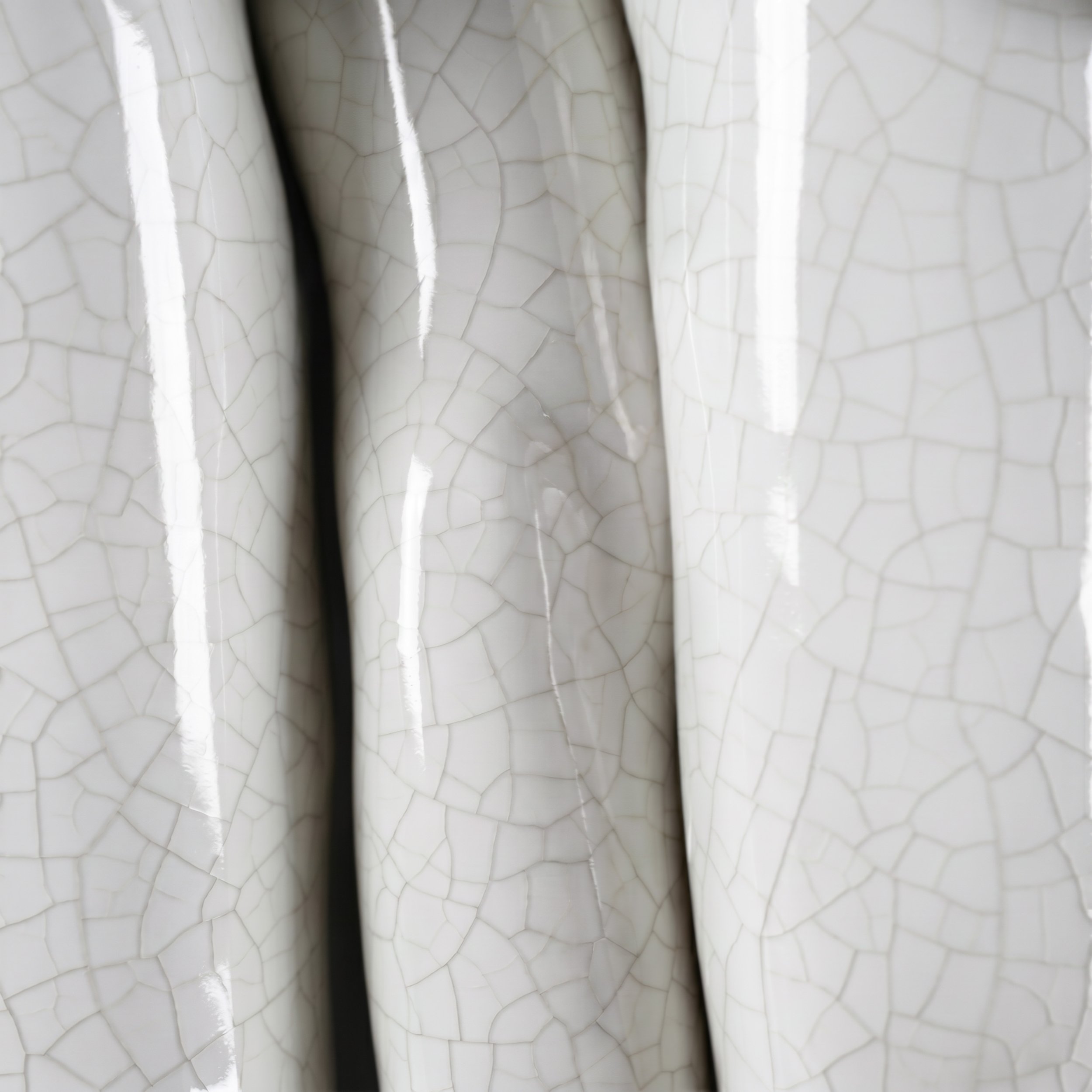Picture from the series: Porcelain Body by Jakob Maria Wagner.