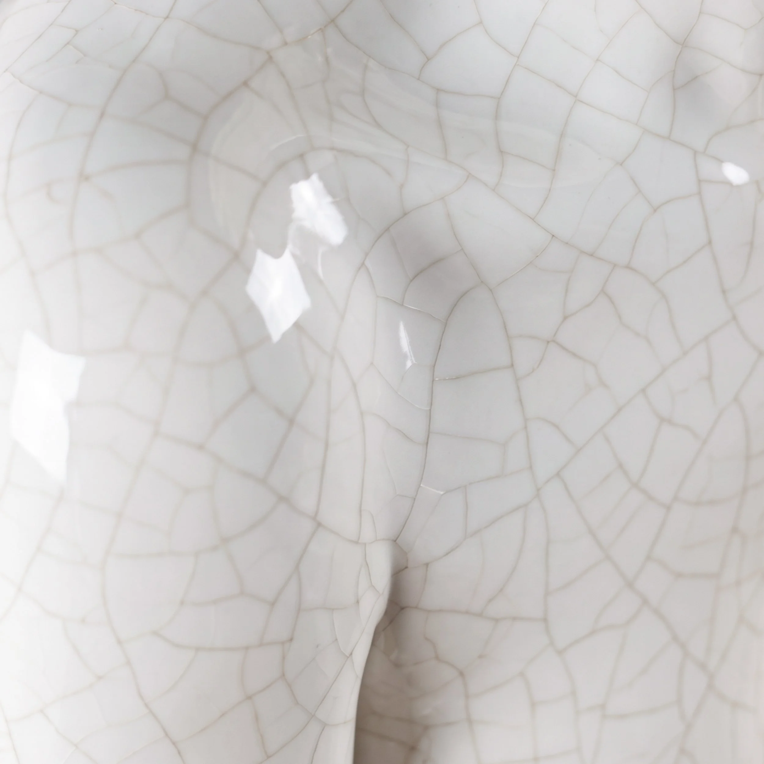 Picture from the series: Porcelain Body by Jakob Maria Wagner.