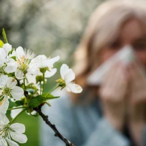 Allergi utredning och behandling