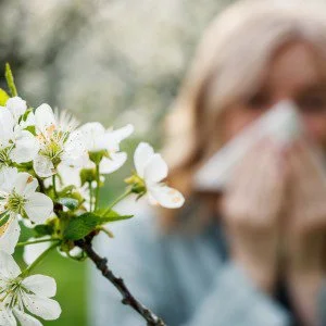 Allergi utredning och behandling