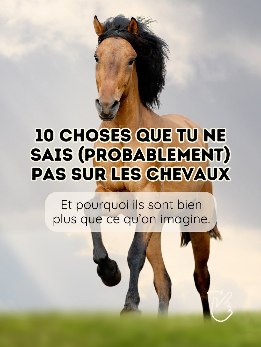 ✨ Commente &ldquo;ANOLA&rdquo; et je t&rsquo;envoie le lien pour rejoindre notre espace gratuit &amp; bienveillant d&eacute;di&eacute; au v&eacute;g&eacute;tal 💚

👉 Follow @start_veggie_daily pour ne rien rater 🌱

Le cheval est souvent associ&eacu