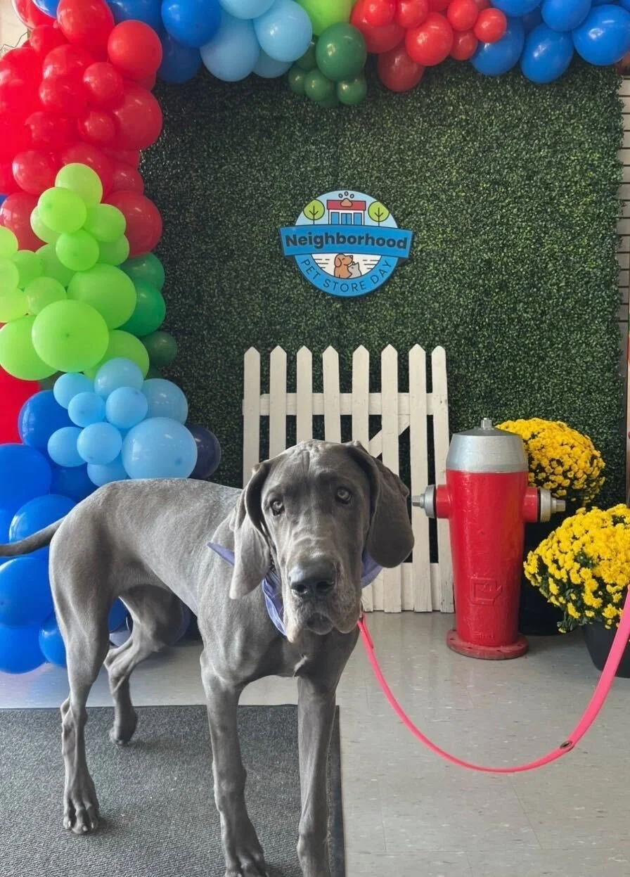 Neighborhood Pet Store Day 2025 at Tru Pet Richmond Hill | Recap &amp; Photos