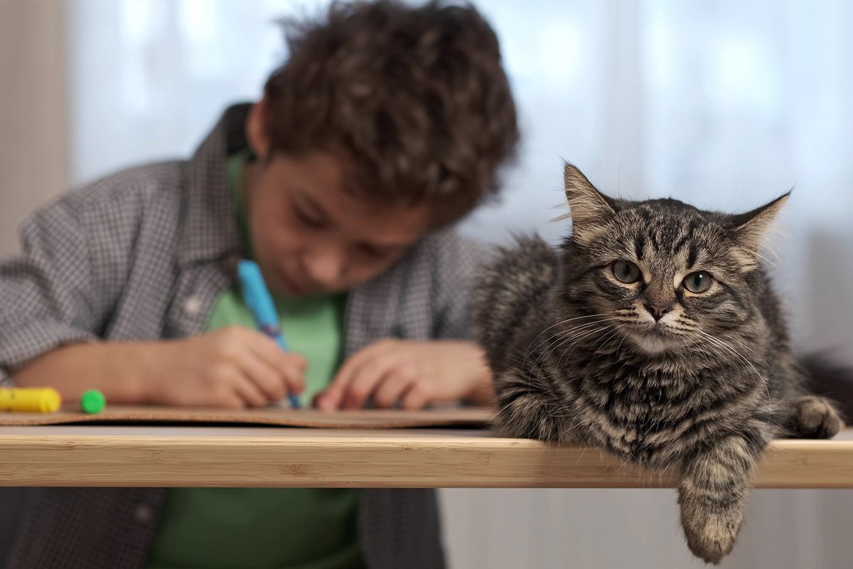 Helping Pets Adjust to New Routines During Back to School