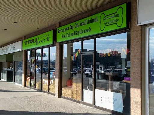 Storefront with green signs advertising pet grooming, bird, fish, and reptile needs, with large glass windows showing parking lot and buildings outside.