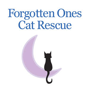 Book cover titled "Forgotten Ones Cat Rescue" with a black cat sitting on a crescent moon.