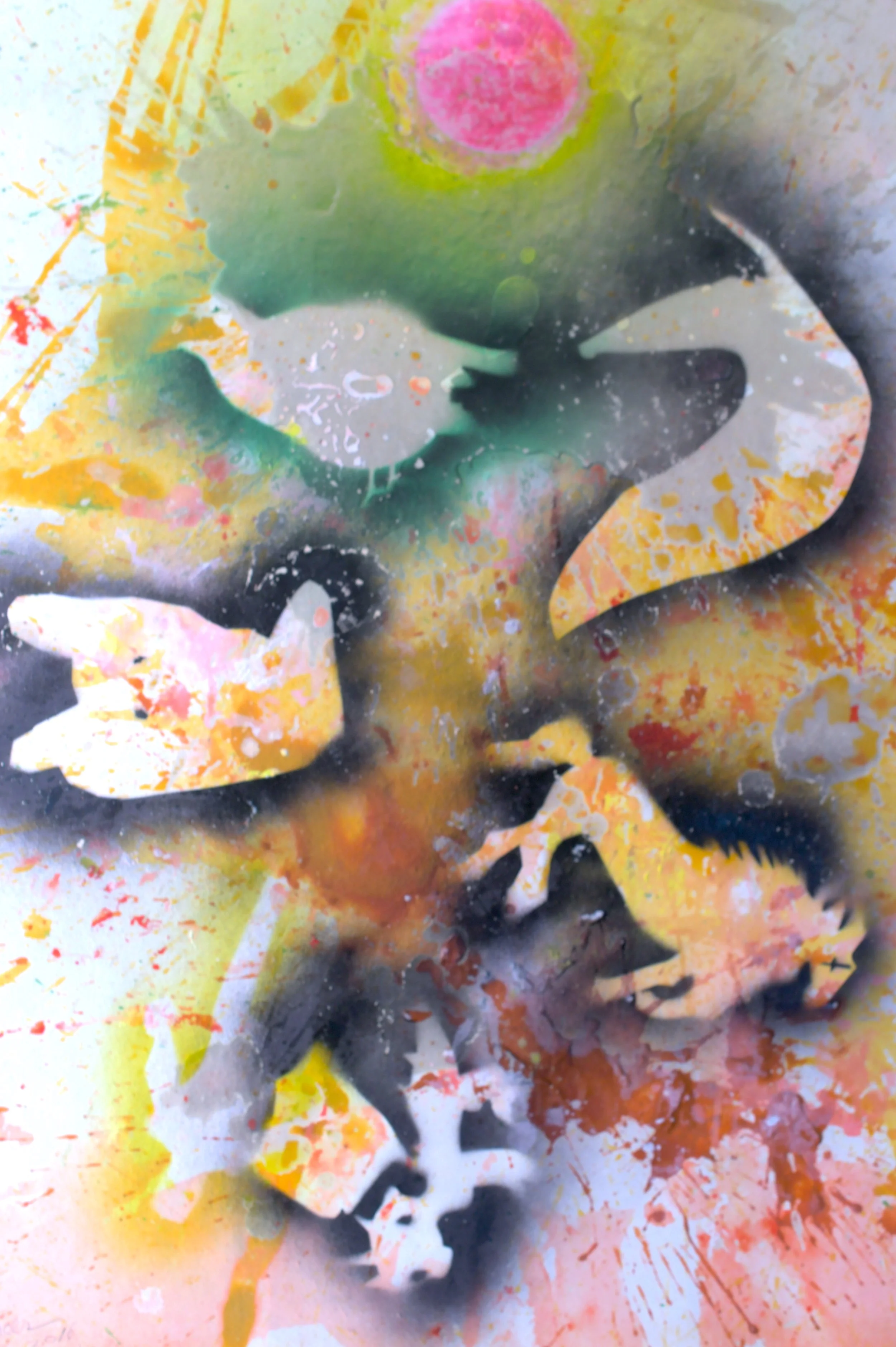 Quantum Field Zooconsciousness 
and Pink Sun [62X80cm] 2016