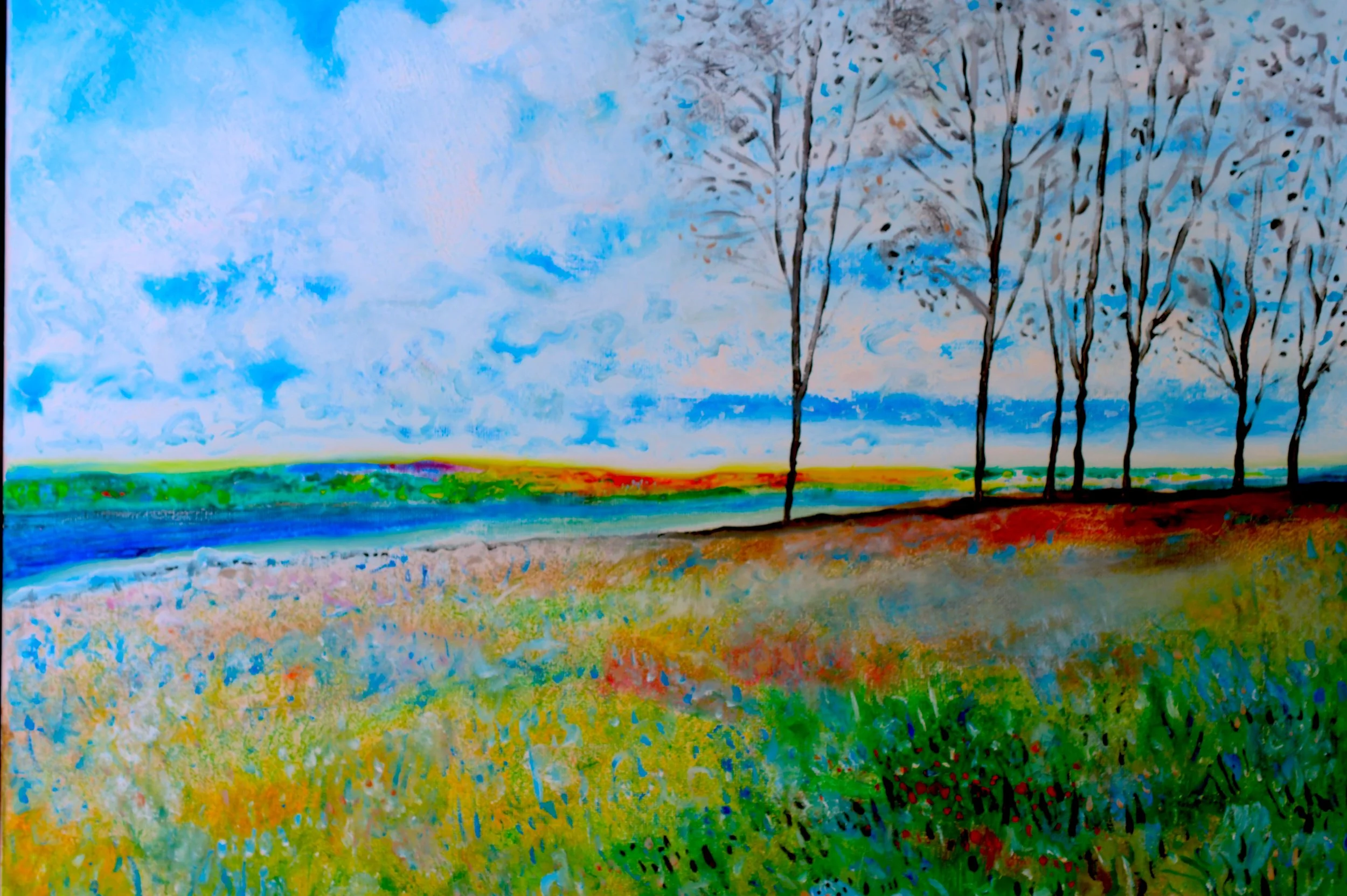 Ottawa Valley on a Summer's Day (2015) Oil on canvas [25X45cm]. 1000US