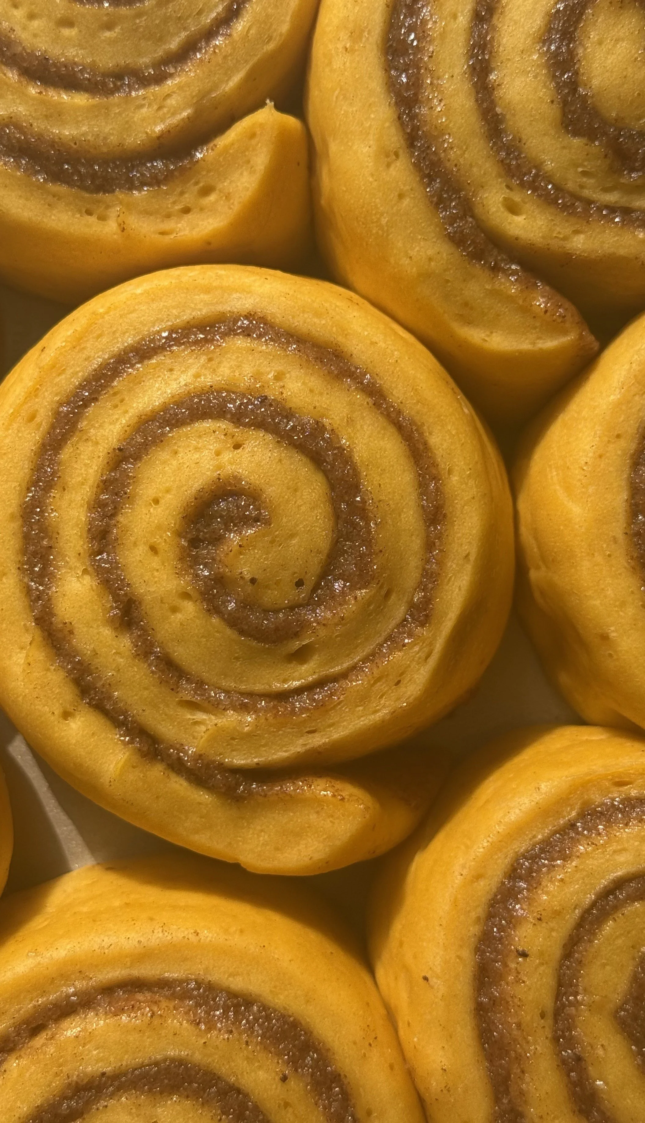 2nd Rise photo of rolls.jpeg
