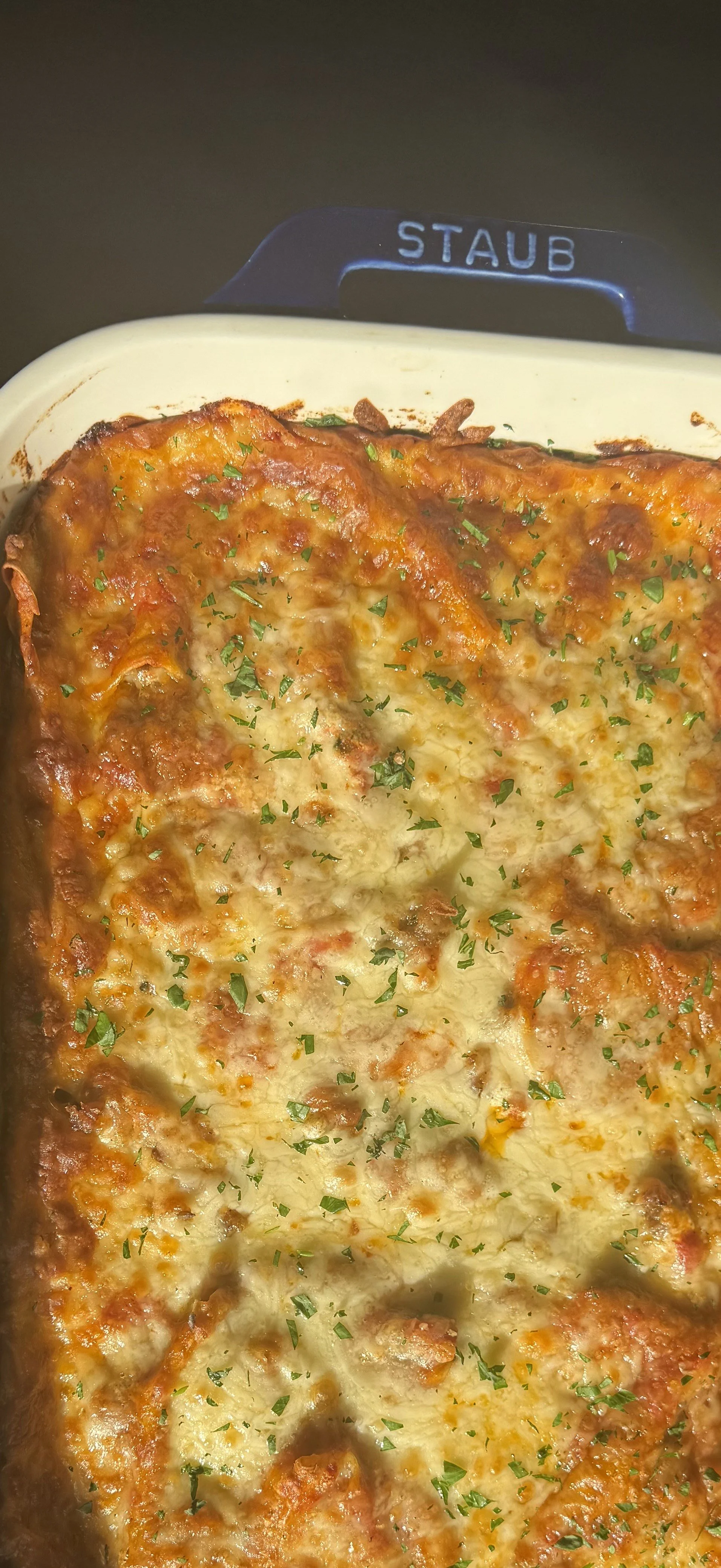 Staub Handle picture.jpeg