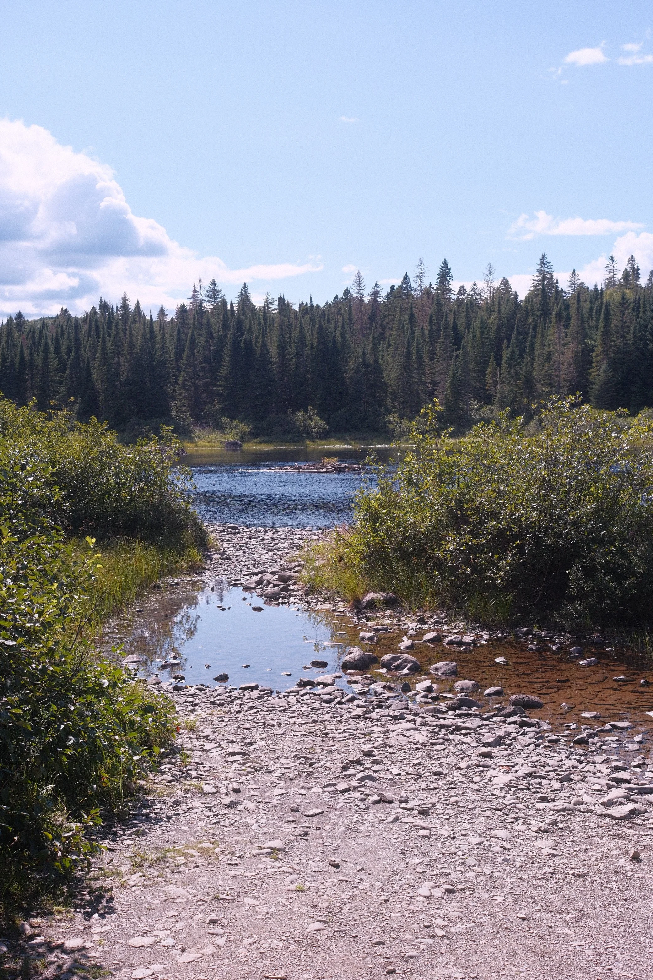 DSCF1343.jpg