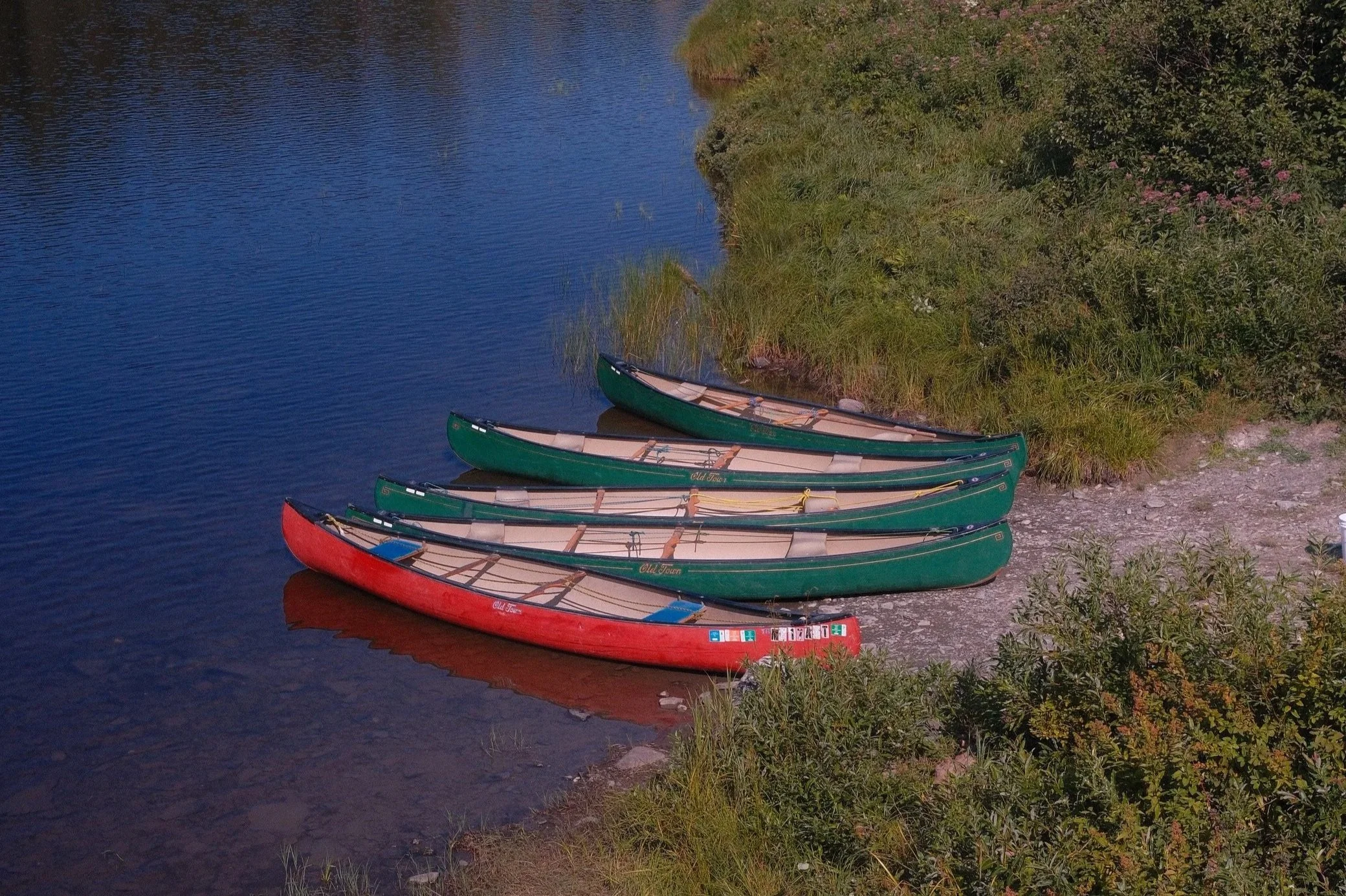 DSCF1489.jpg
