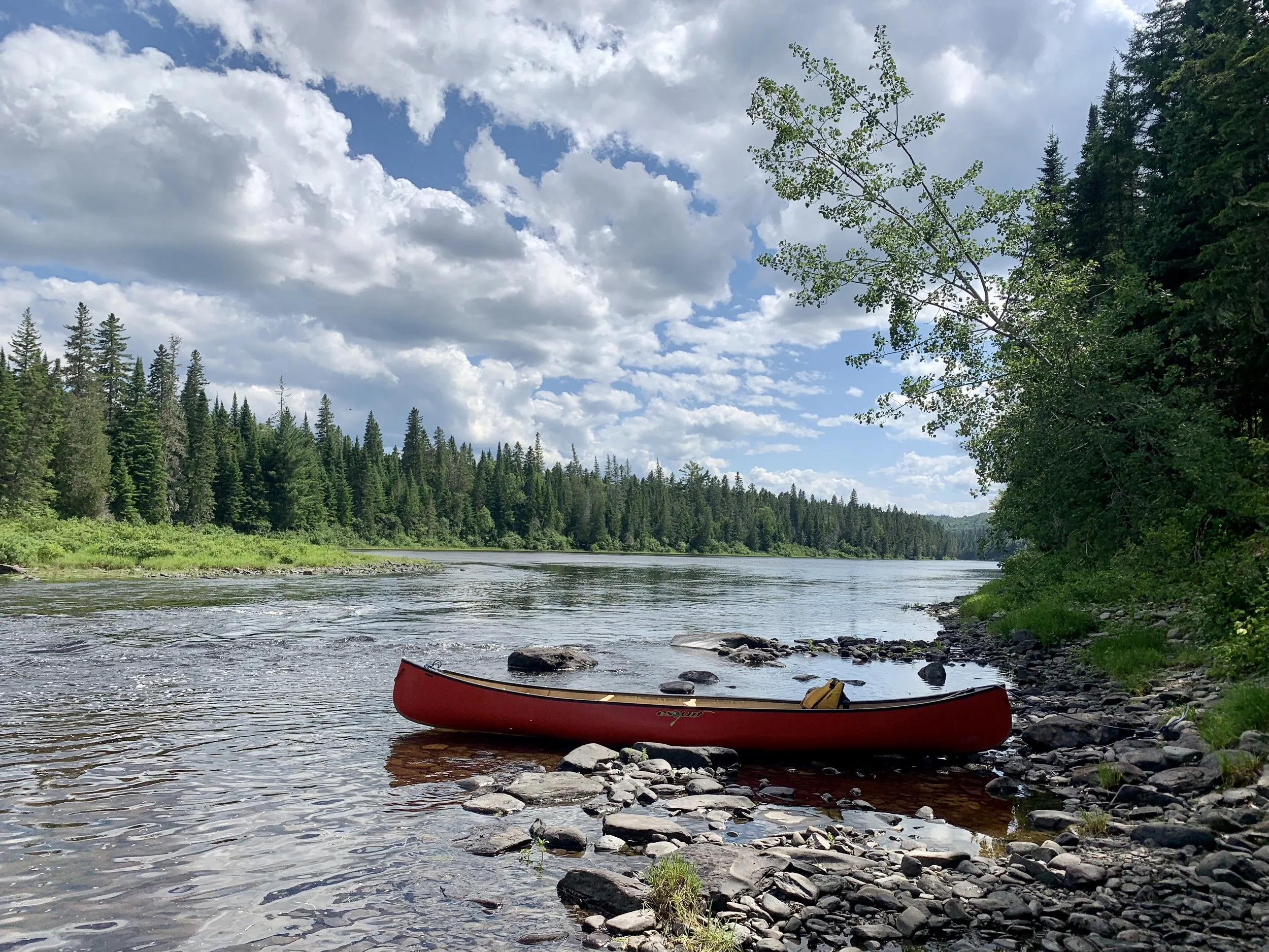 FullSizeRender (1).jpeg