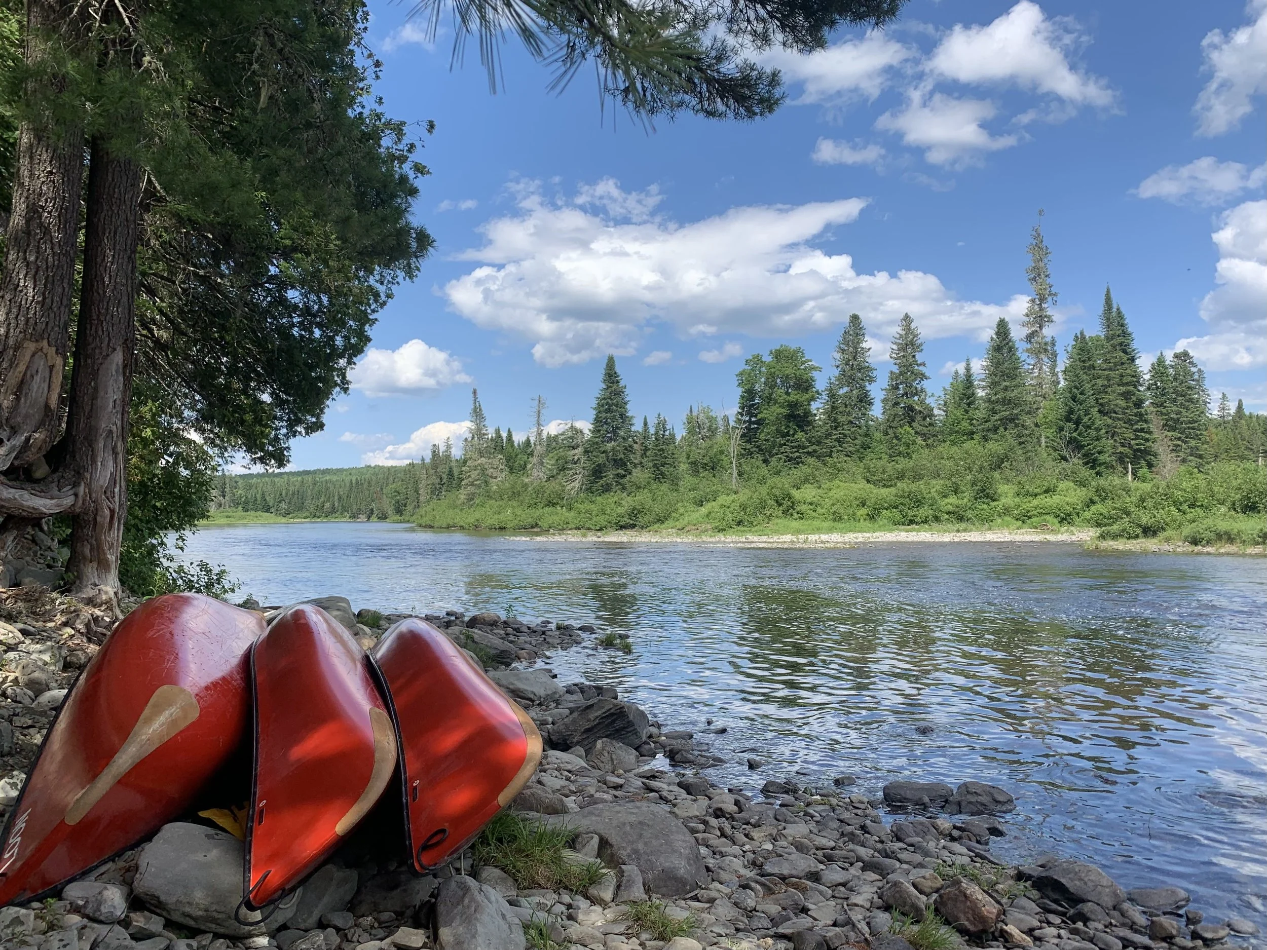 FullSizeRender 2.jpeg