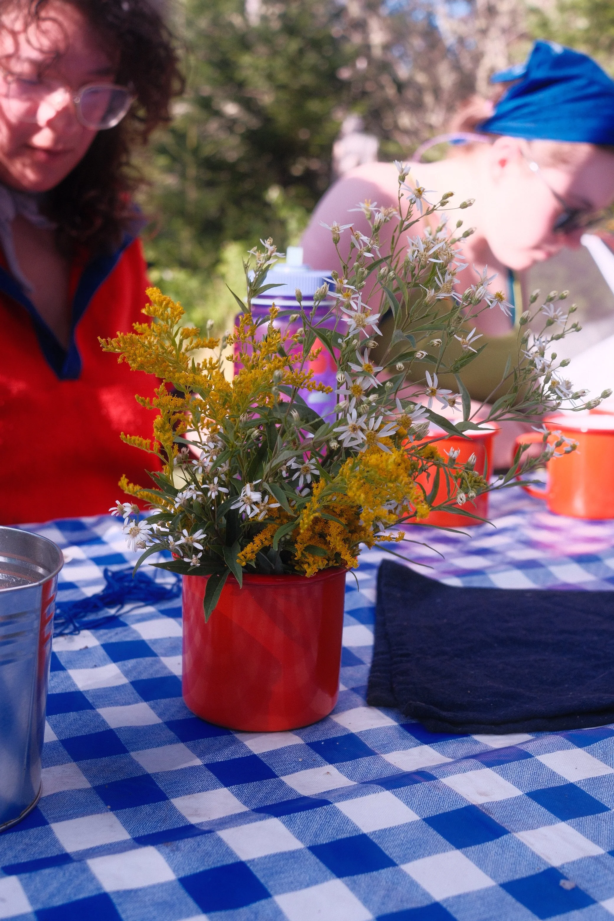 DSCF1385.jpg