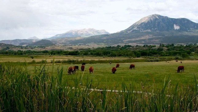 Ag Land Conservation is Climate Resilience