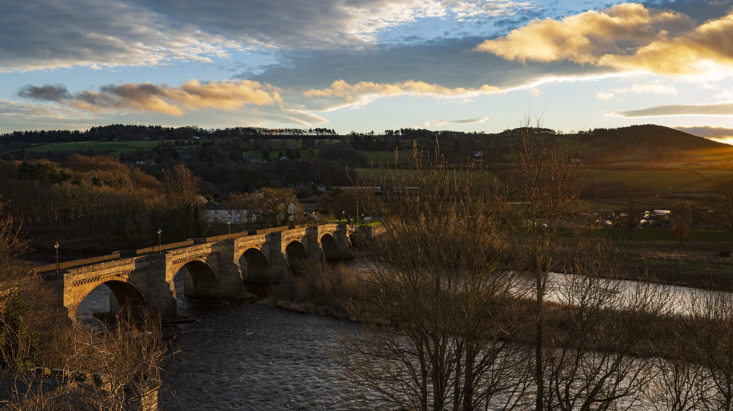 PAX garden photography Corbridge Garden Front Street1.jpg