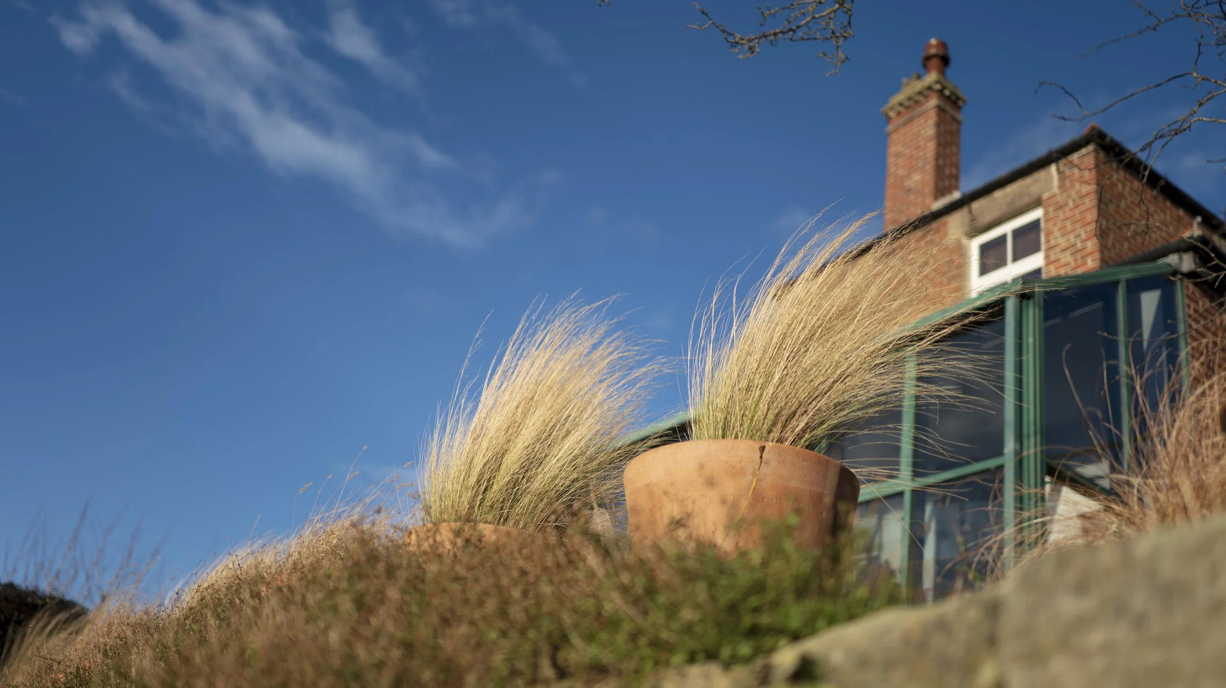 PAX garden photography Corbridge Garden Front Street4.jpg