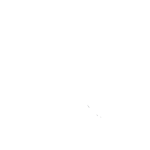 Icon of a medicine bottle and a capsule pill
