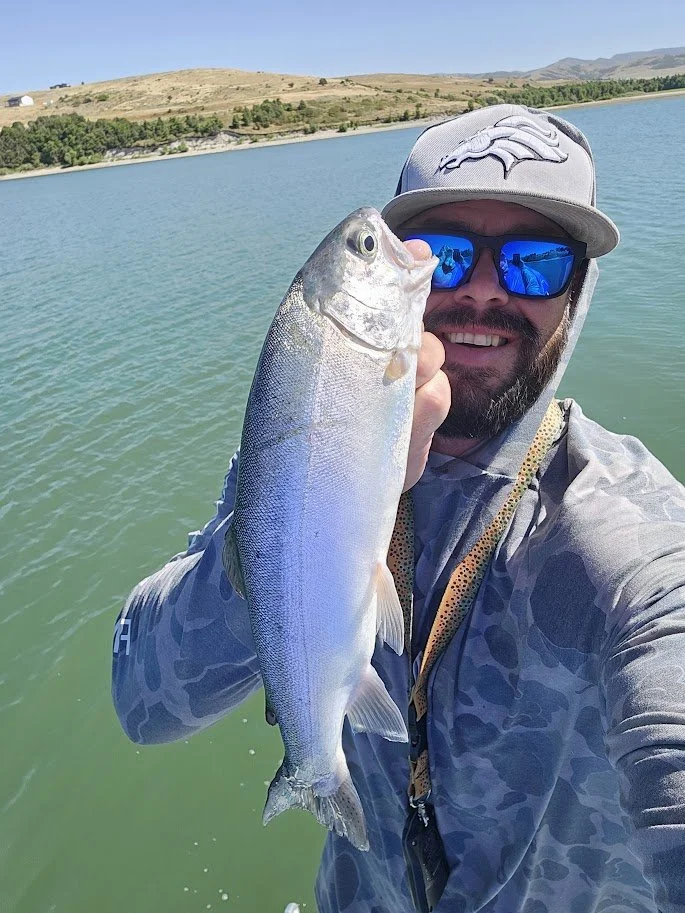 Why Rainbow Trout Are Prioritized by Mountain West Fish &amp; Game