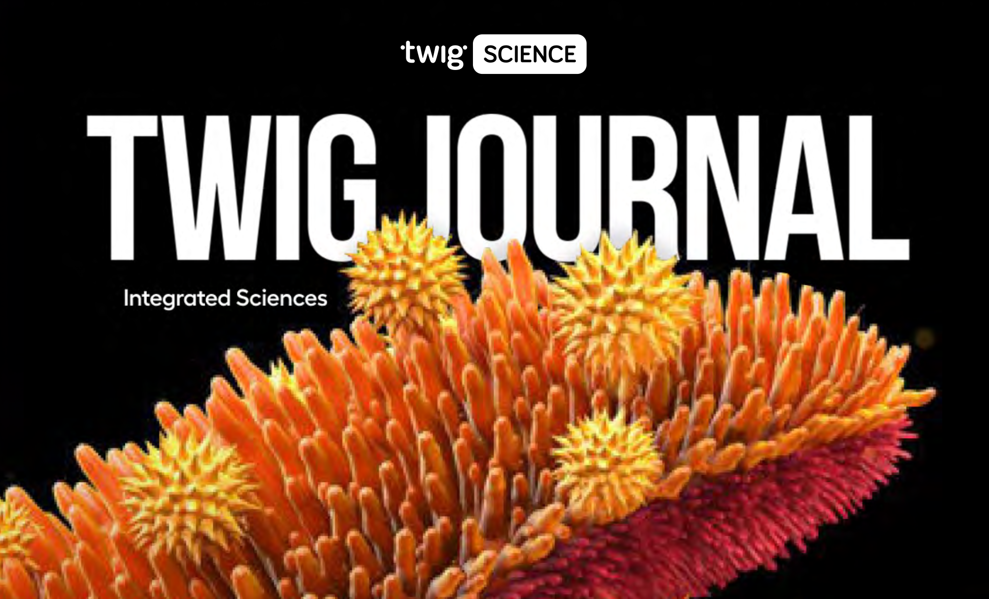 Screenshot 2025-10-07 at 12.36.05 PM.png