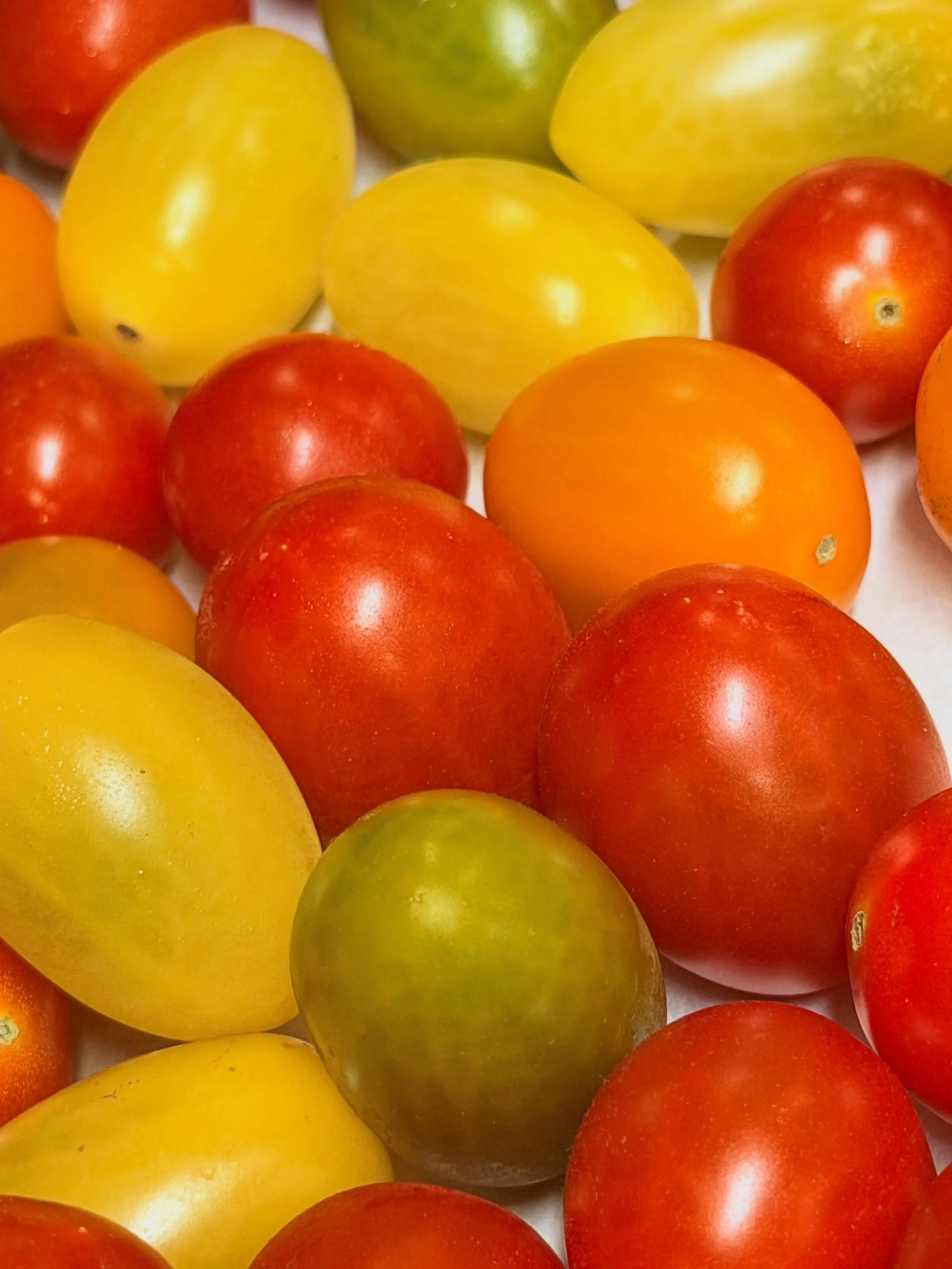 A little burst of sunshine! Sweet, juicy and perfect on our salads and special this week, Caesar pasta salad☀️🍅