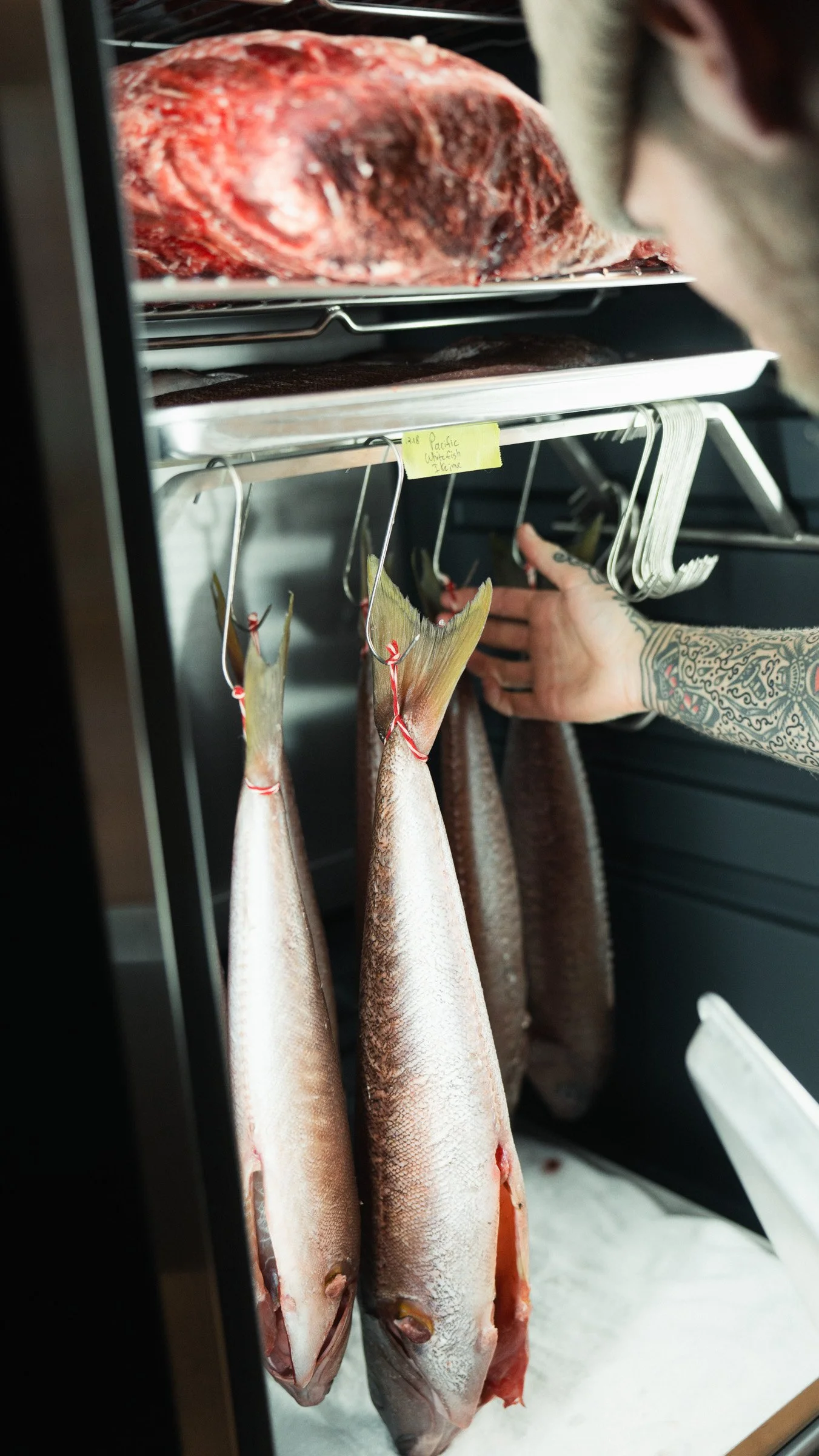 Fresh fish hanging in a refrigerator, with a large piece of meat on the top shelf.