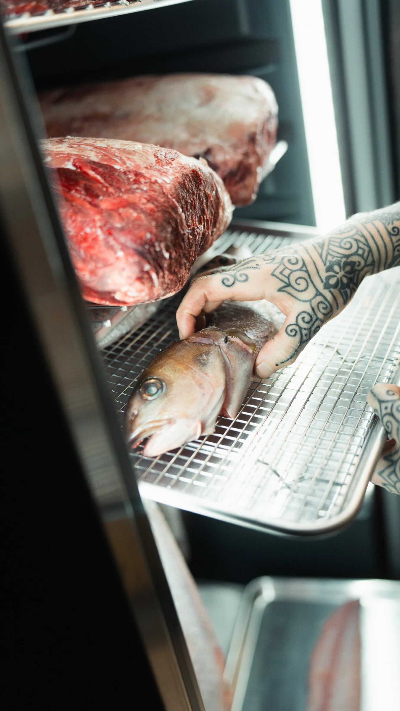 Person with tattooed arm placing a fish on a metal rack inside a refrigerator or freezer, with large cuts of red meat visible in the background.