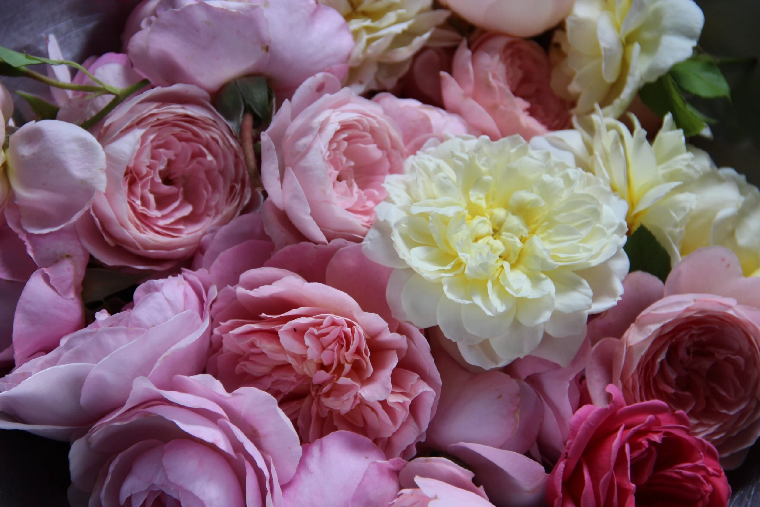 Personalized Wedding Ceremony