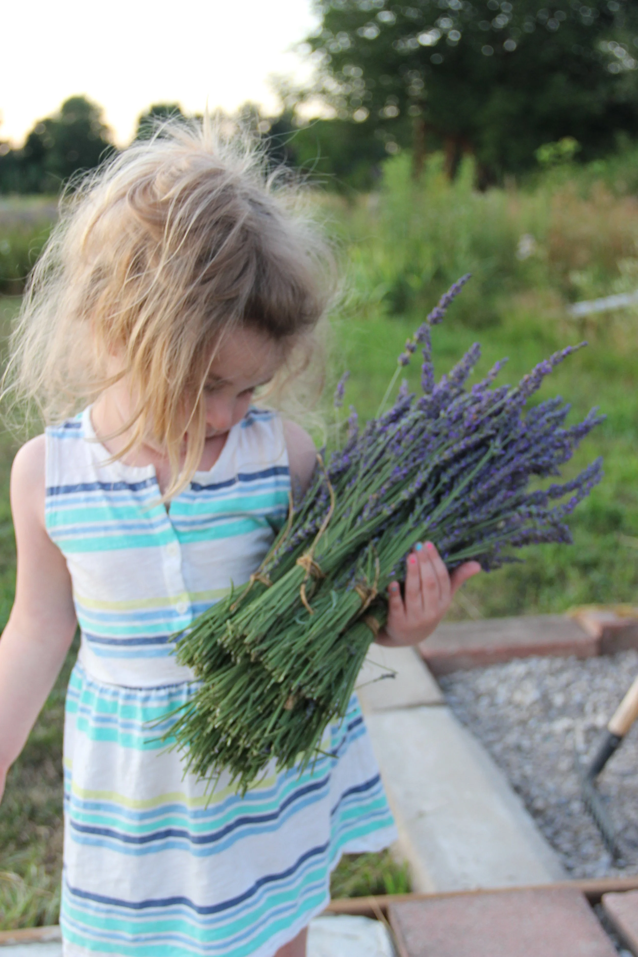 Adoption or Family Blending Ceremonies