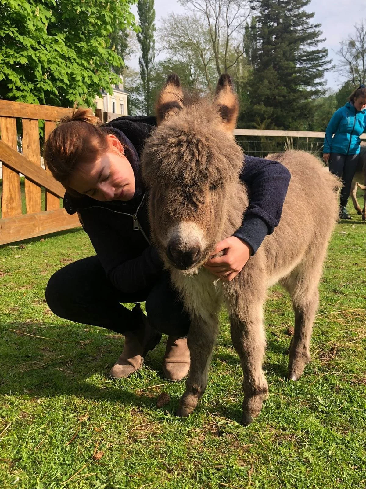 WhatsApp Image 2025-09-09 à 15.03.52_c065e76b.jpg