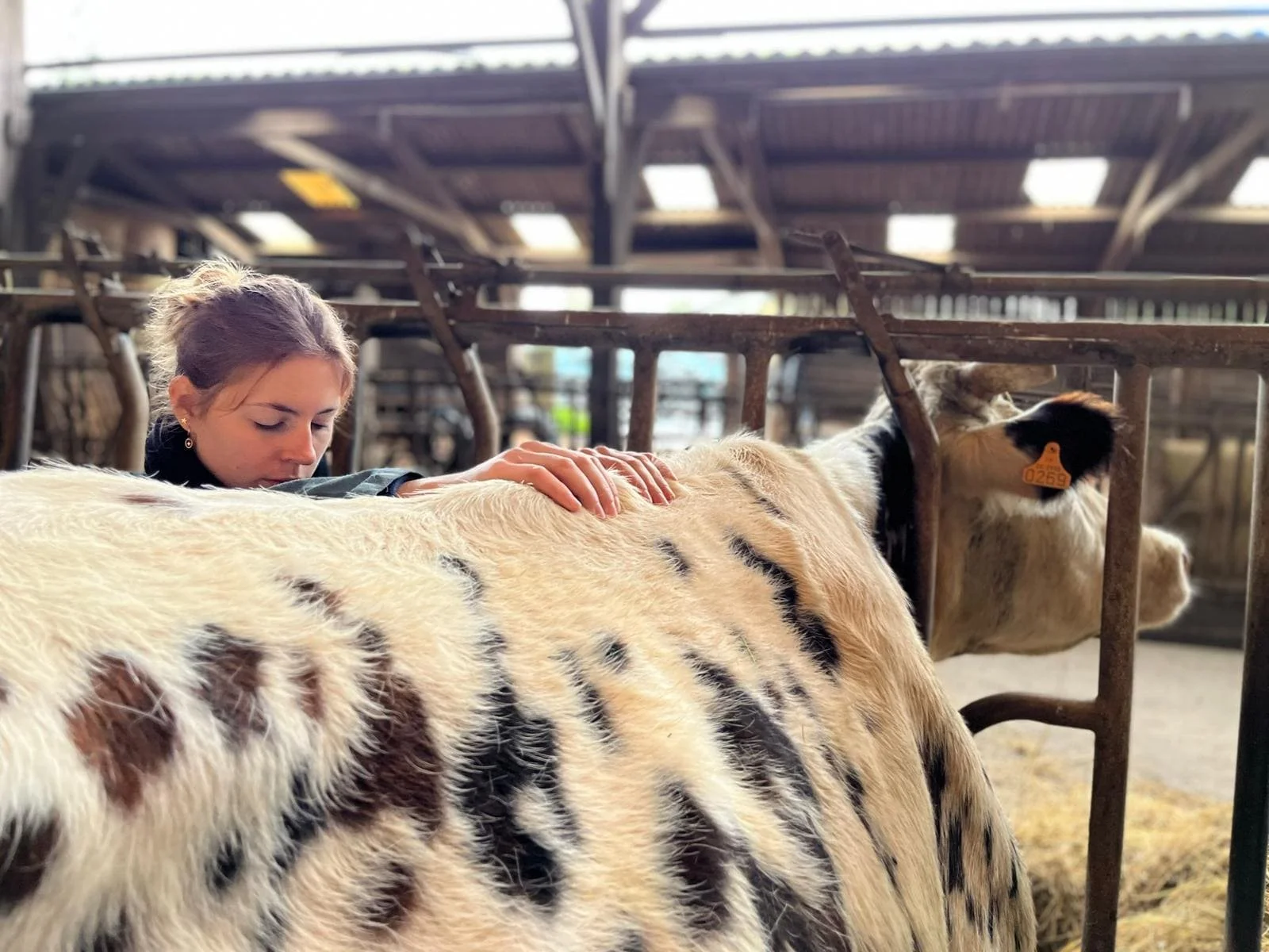 WhatsApp Image 2025-09-09 à 15.03.53_a21c2113.jpg