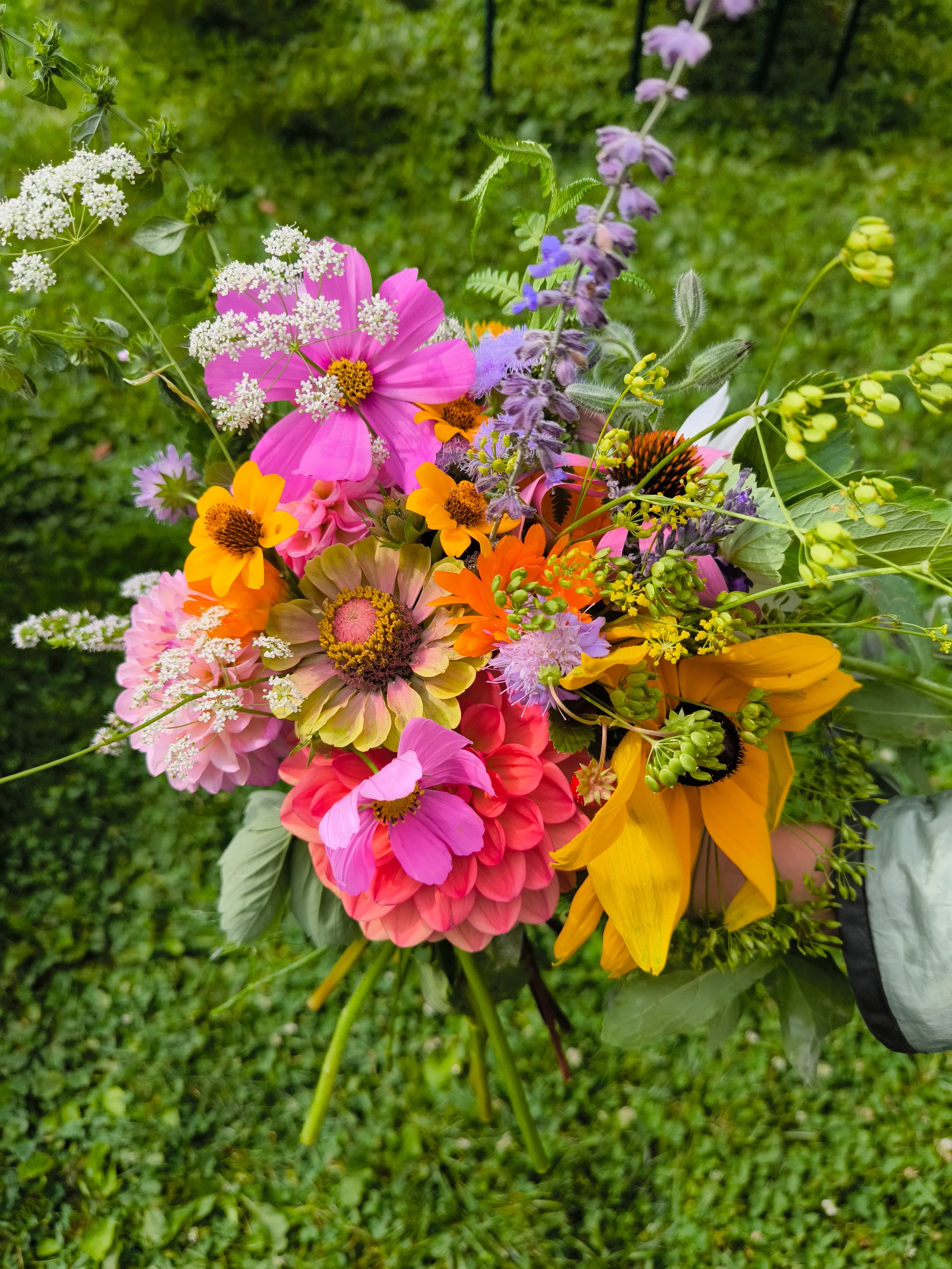 WhatsApp Image 2025-08-24 at 16.36.30.jpeg