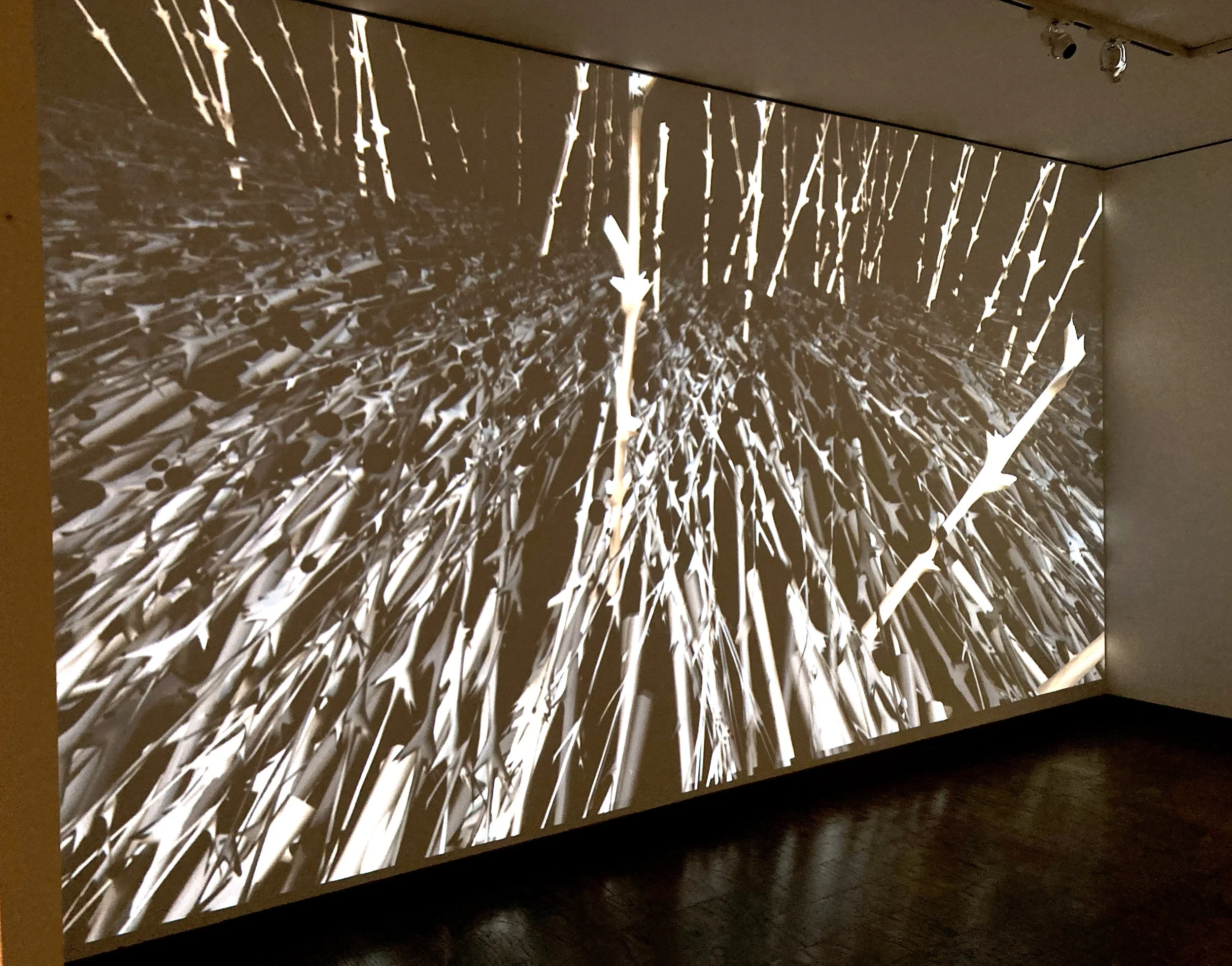 install_2_Morse_thicket.jpg