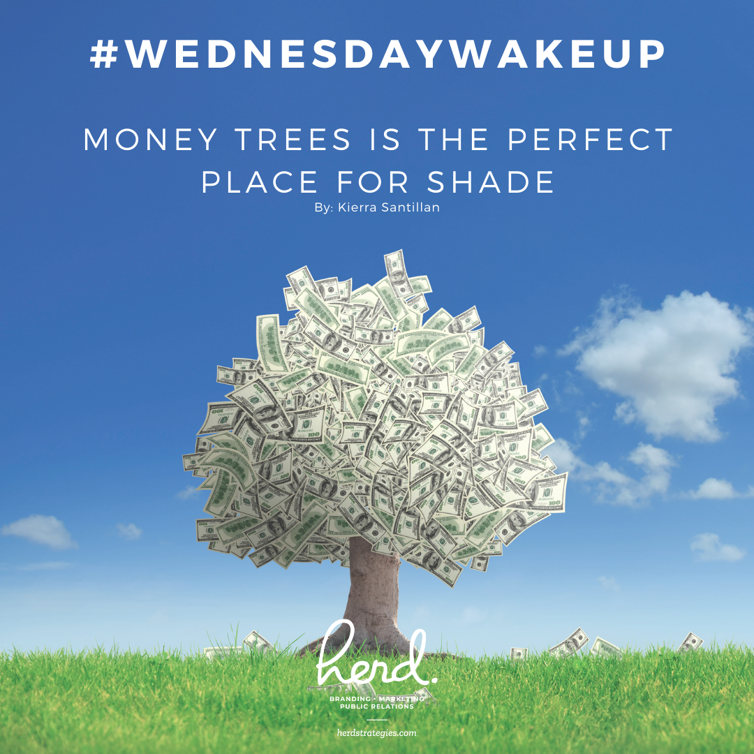 “Money trees is the perfect place for shade.”