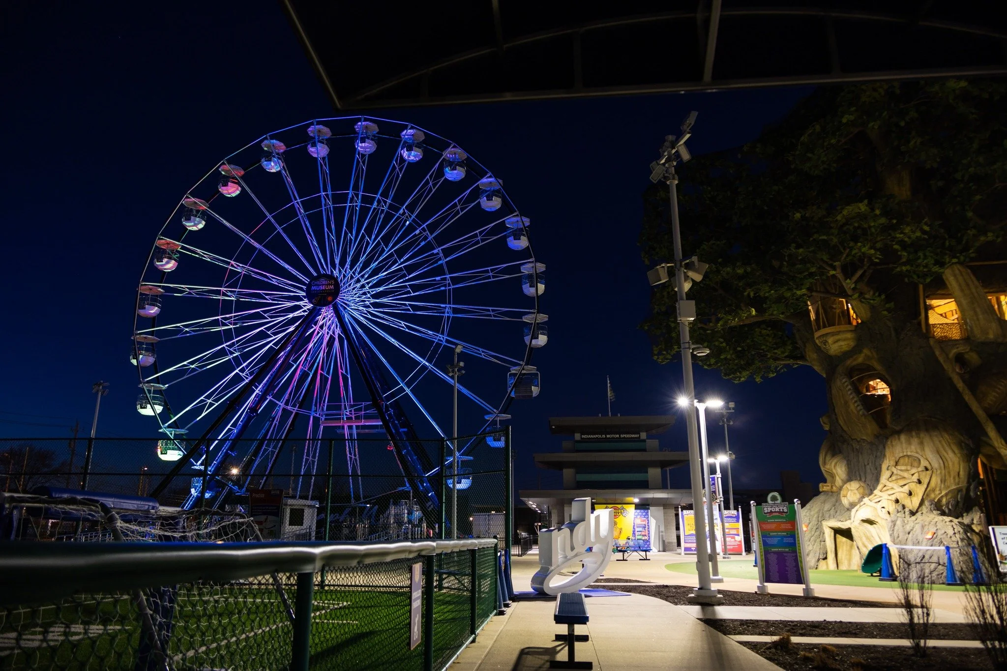 An illuminated Ferris wheel at night at a park, with a large tree to the right and a building in the background.