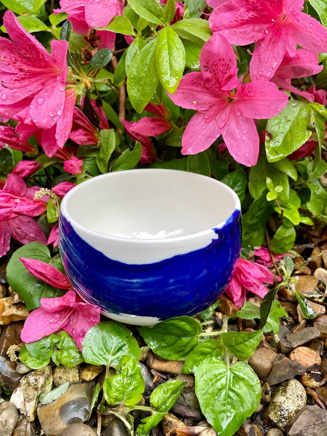 Tea_Bowl-1500pxl.jpg