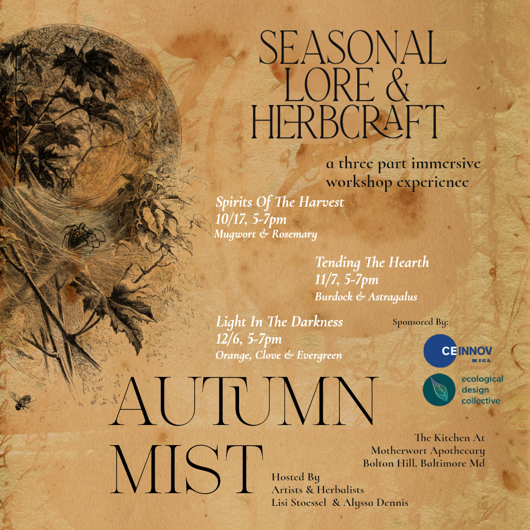 Autumn Mist Workshop Series