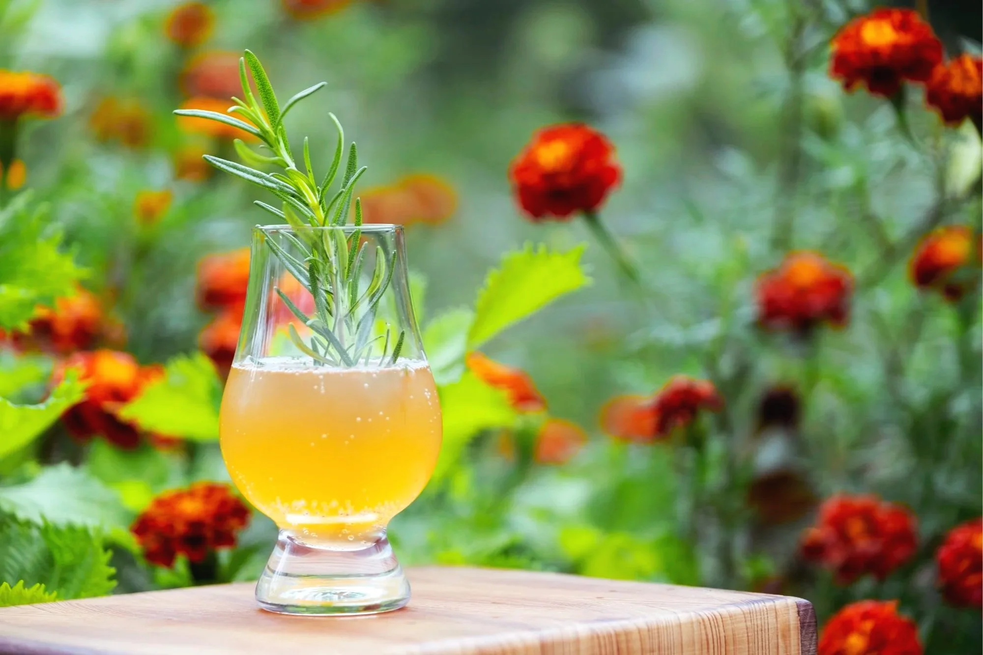 Apple+Cardamom_drink_websize.jpg