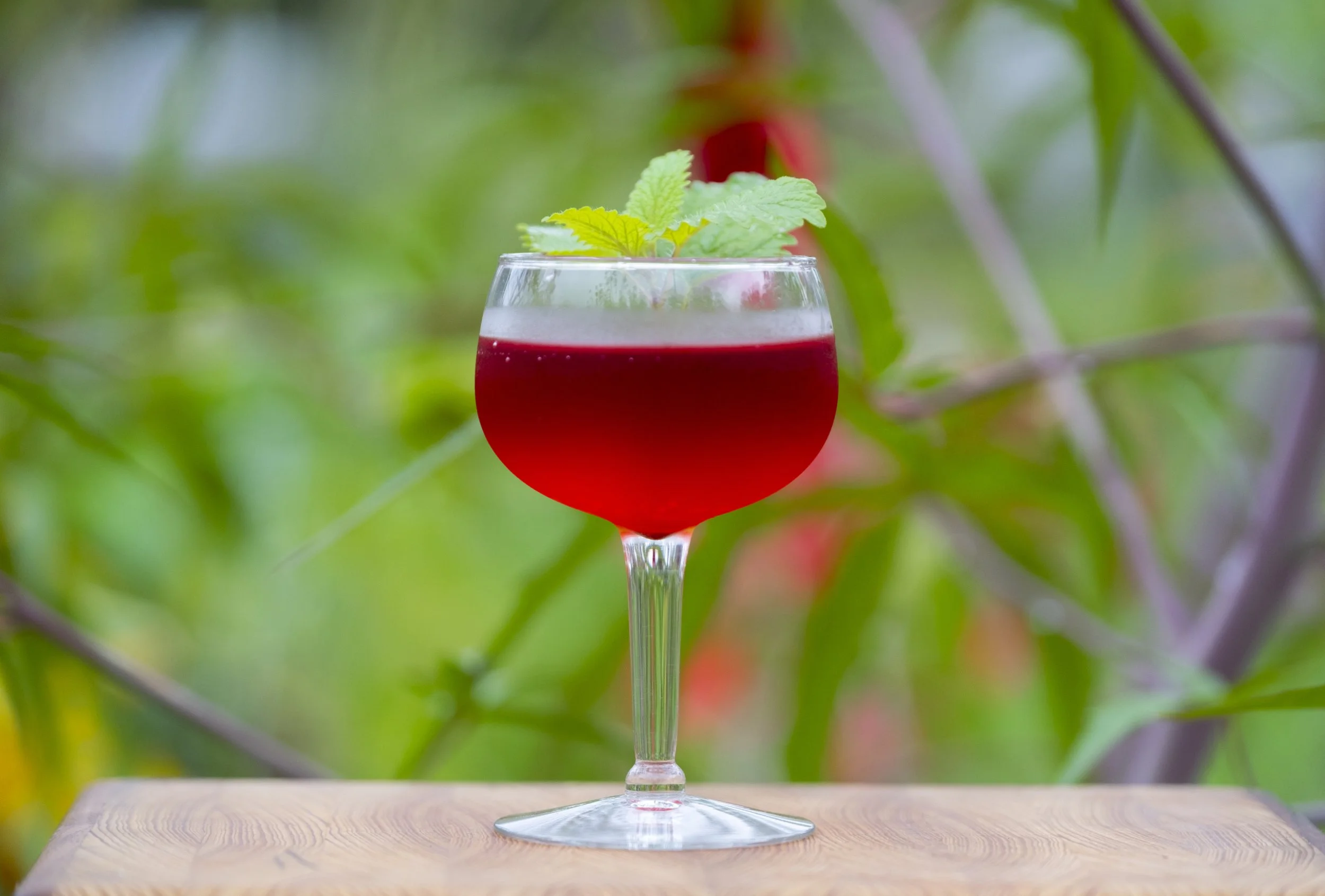 Brambleberry Tulsi_drink_websize.jpg