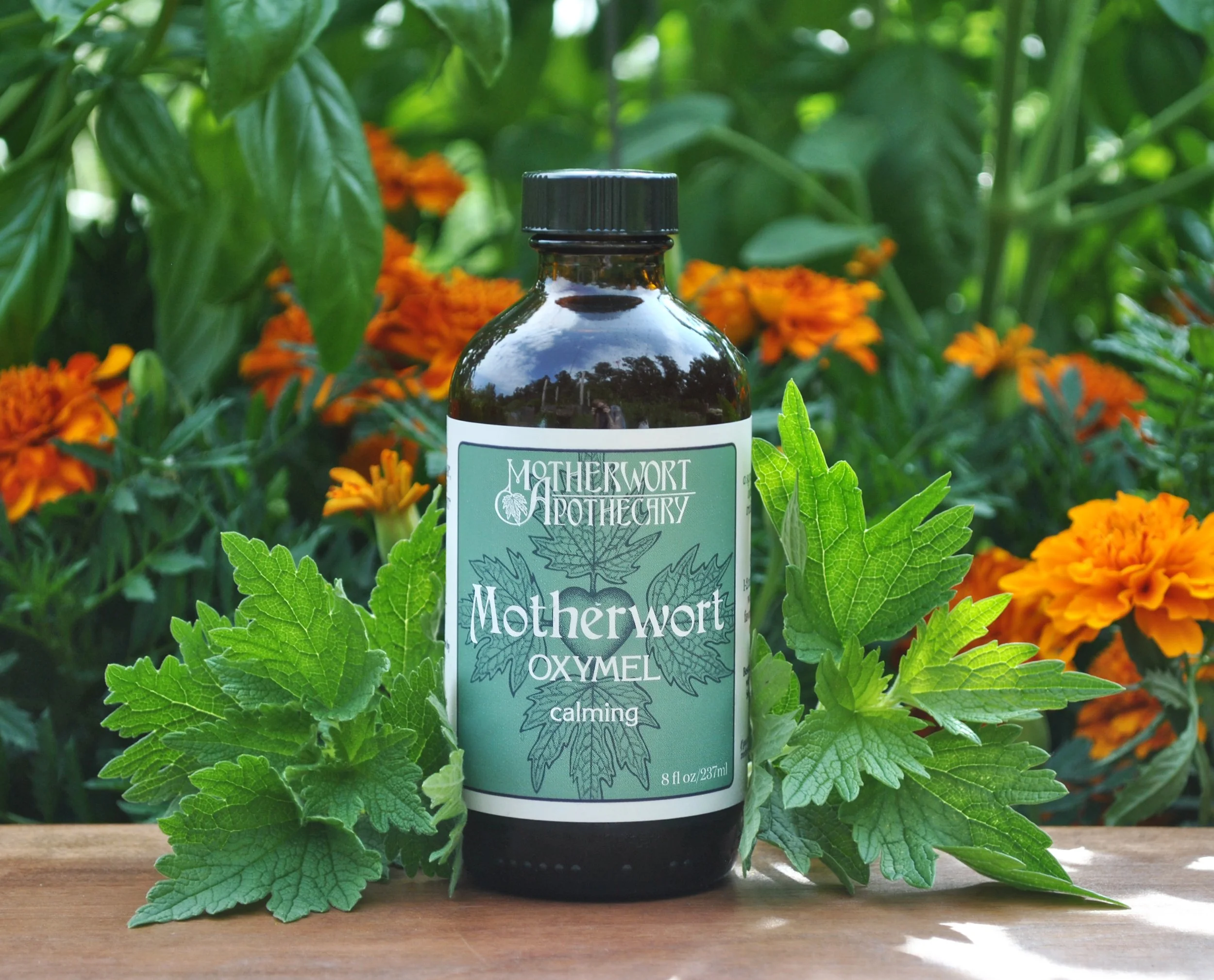 Motherwort Oxymel -8 fl oz