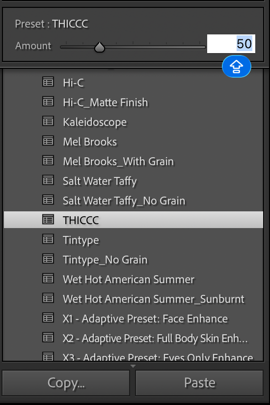 Screenshot of the Preset window with one selected and adjusted in Lightroom Classic
