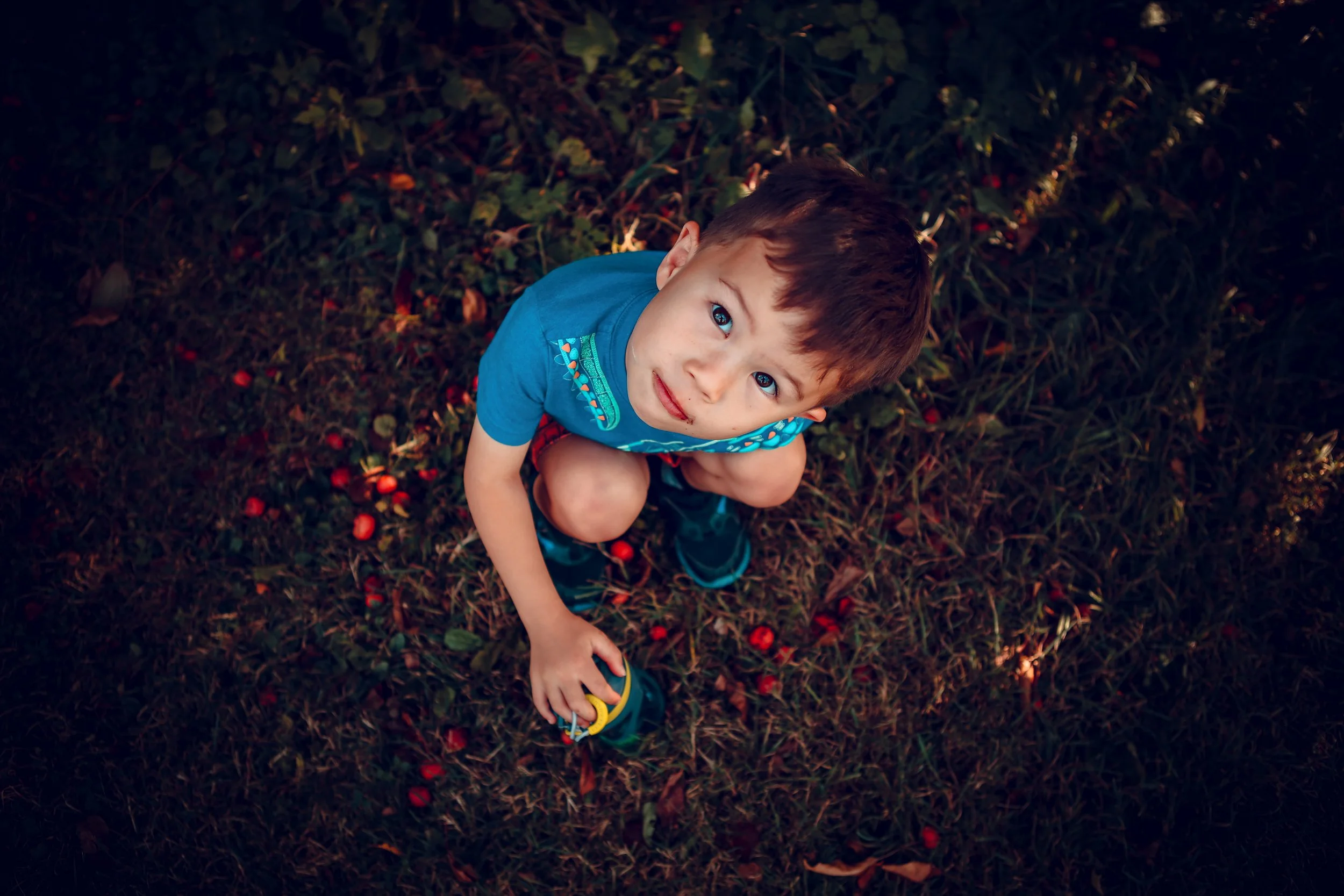 A young boy with brown hair and blue eyes squatting on grass with scattered red berries, wearing a blue shirt and dark shorts, looking up at the camera.